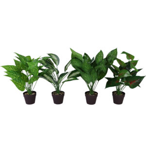 Green plant in plastic pot L 50cmH