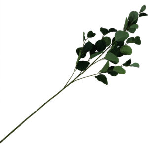 Eucalyptus spray 90cmL