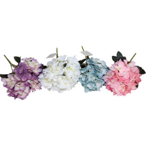 Hyndrangea bush