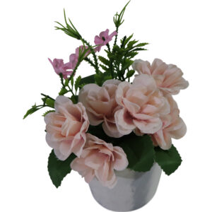 A19072112.JPG Flower in cement pot