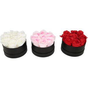 Roses in paper round box S