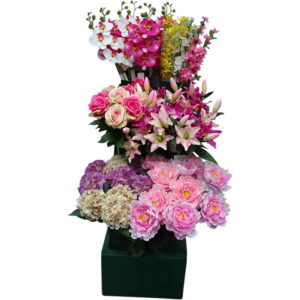 Step display with 6 vases