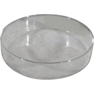Glass dish dia 10x2cm