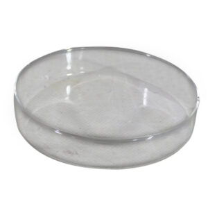 Glass dish dia 11x2cm