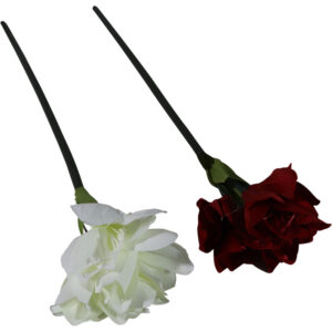 Single amaryllis 70cmL