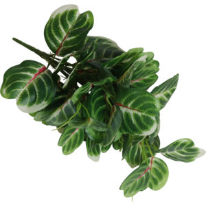 Green leaves bush 36cmH