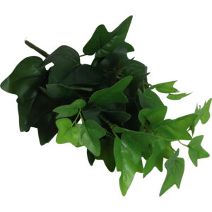 Green leaves bush 36cmH