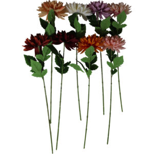 Single dahlia 69cmL
