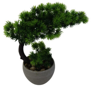 Bonsai tree in plastic pot 24cmH