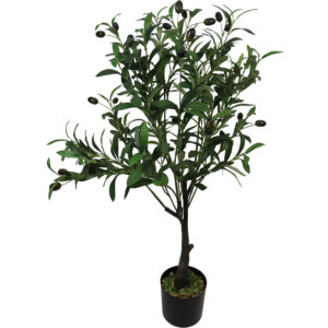 Olive tree in plastic pot 82cmH