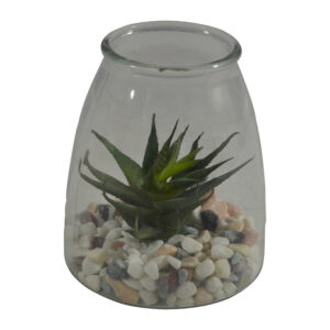 Glass pot with succulent dia 13x15.5cm