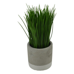 Grass in cement pot