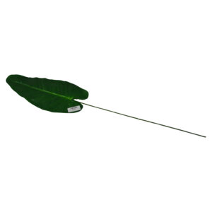 Single leaf