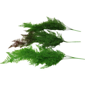 Fern spray 80cmL