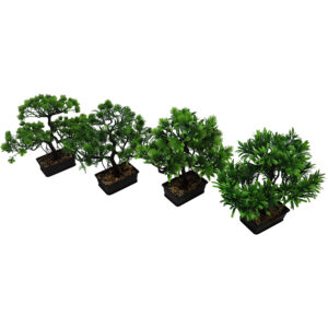 Bonsai tree in plastic pot 22cmH