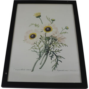 Art Print framed 32.5x45cm