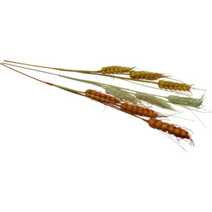 Wheat spray 123cmL