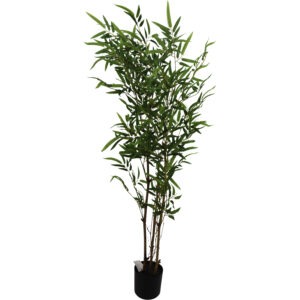 Bamboo tree in plastic pot 115cmH
