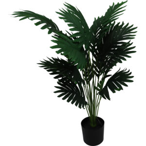 A23020572.JPG Palm tree in plastic pot 77cmH