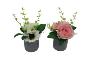 Flowers in plastic pot 22cmH