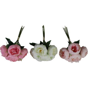 Peony bush 32cmH