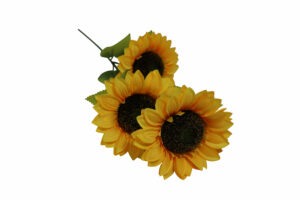 Sunflower spray 90cmL