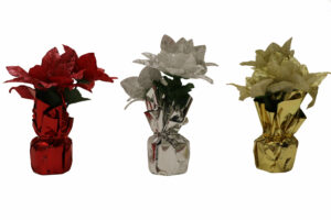 Poinsettia w/foil 21cmh