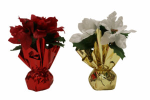 Poinsettia w/foil 27cmH