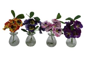 Pansy in glass vase 23cmH