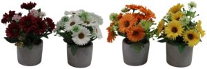 Daisy + allium in cement pot 18cmH