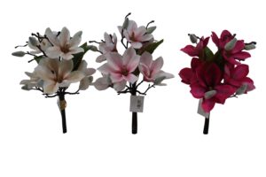 Magnolia bush 35cmH