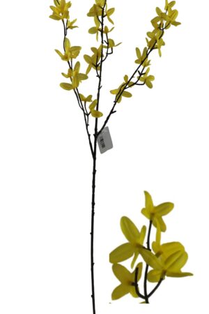 Forsythia spray 97cmL