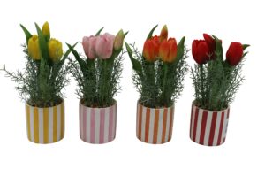 Tulip in ceramic pot RT 25cmH