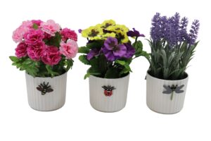 Flowers in plastic pot 22-24cmH