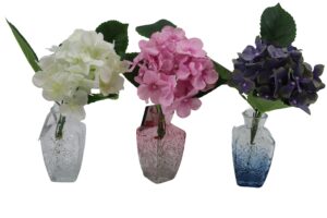 Hydrangea in glass vase 30cmH