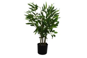 Bamboo tree in plastic pot 67cmH