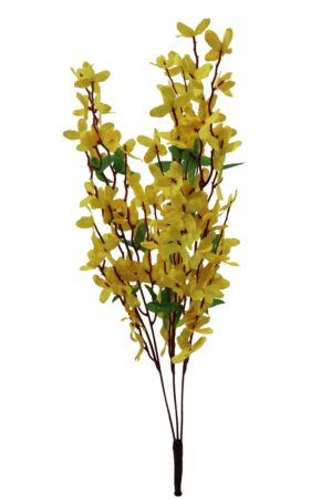 Forsythia spray 59cmL