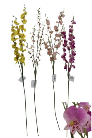 Orchid spray 95cmL