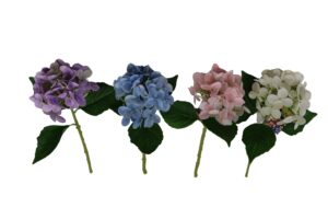 Hydrangea single RT 32cmL