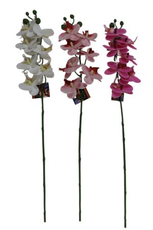 Single orchid RT 60cmL