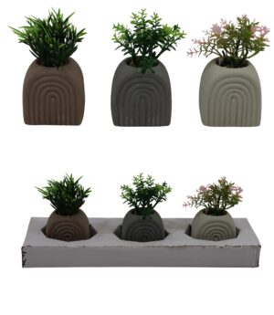 Artificial plant in cement pot S/3