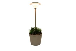 Led lamp w/succulent d.13x37.5cm
