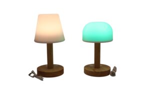 Wooden Led lamp w/plastic shade 19-22cmH