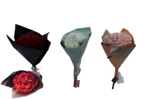 Rose bush in paper wrap 46.5cmH
