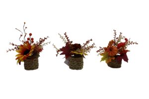 Autumn decoration in water hyacinth pot 20cmH