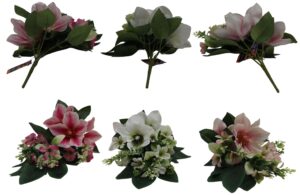 Magnolia bush 38cmH