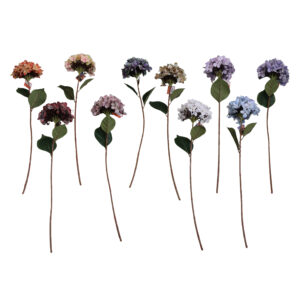 Hydrangea single 74cmL