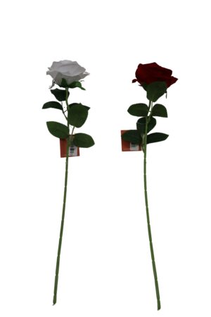 Rose single 49cmL