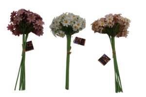 Daisy bush 37cmH