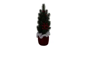 Pine tree in pot 40cmH